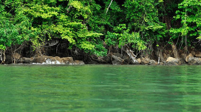 Hotel Sierpe River 외부 사진
