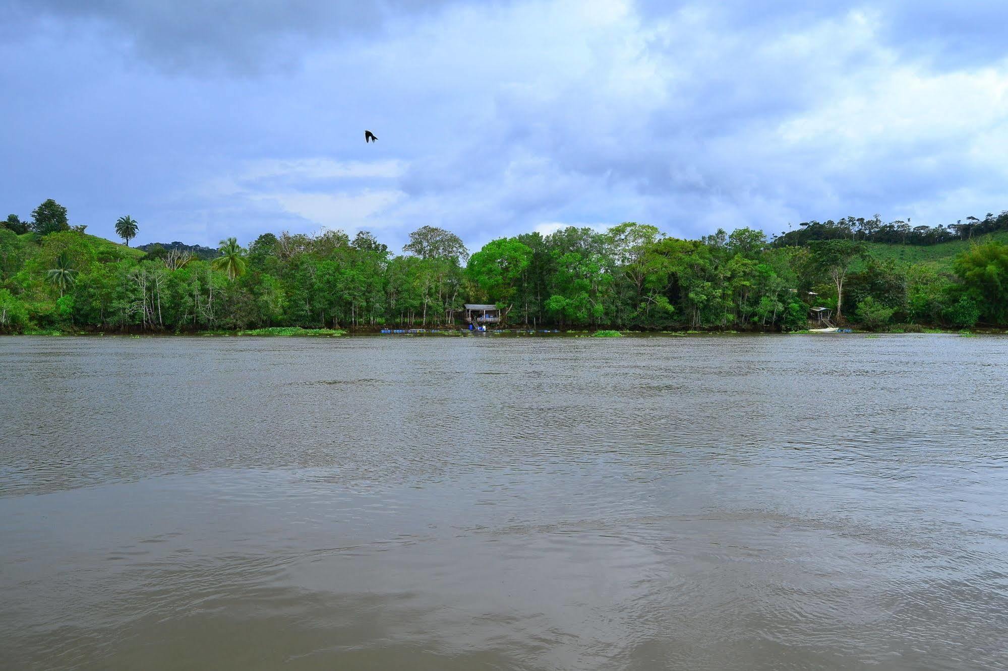 Hotel Sierpe River 외부 사진